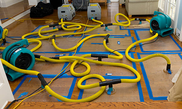 Professional Water Damage Repair technician working in Elmwood, IL